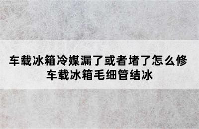 车载冰箱冷媒漏了或者堵了怎么修 车载冰箱毛细管结冰